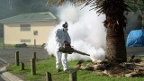La dengue déclarée en Nouvelle-Calédonie