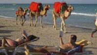 Pourquoi le tourisme en Tunisie progresse toujours malgré tout ?