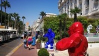 Un appel à projet pour un futur Palm Beach à Cannes